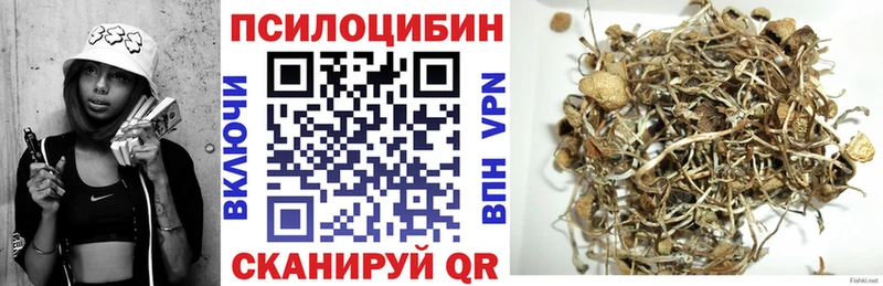 Псилоцибиновые грибы мицелий  Пущино 